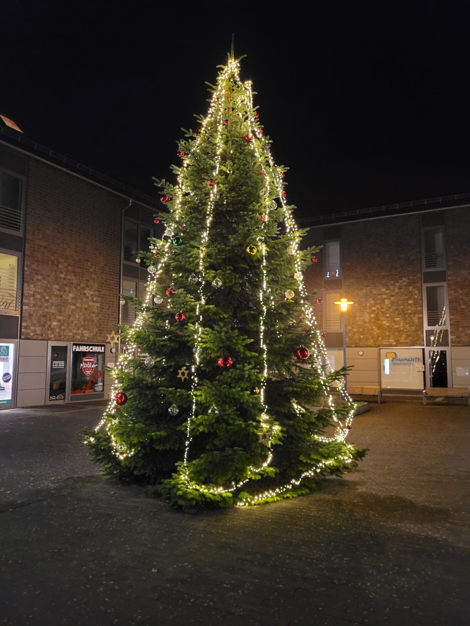 Oh Tannenbaum oh Tannenbaum wie schön sind deine Blätter! Neues aus